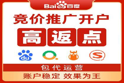 SEM服务公司成功案例解读